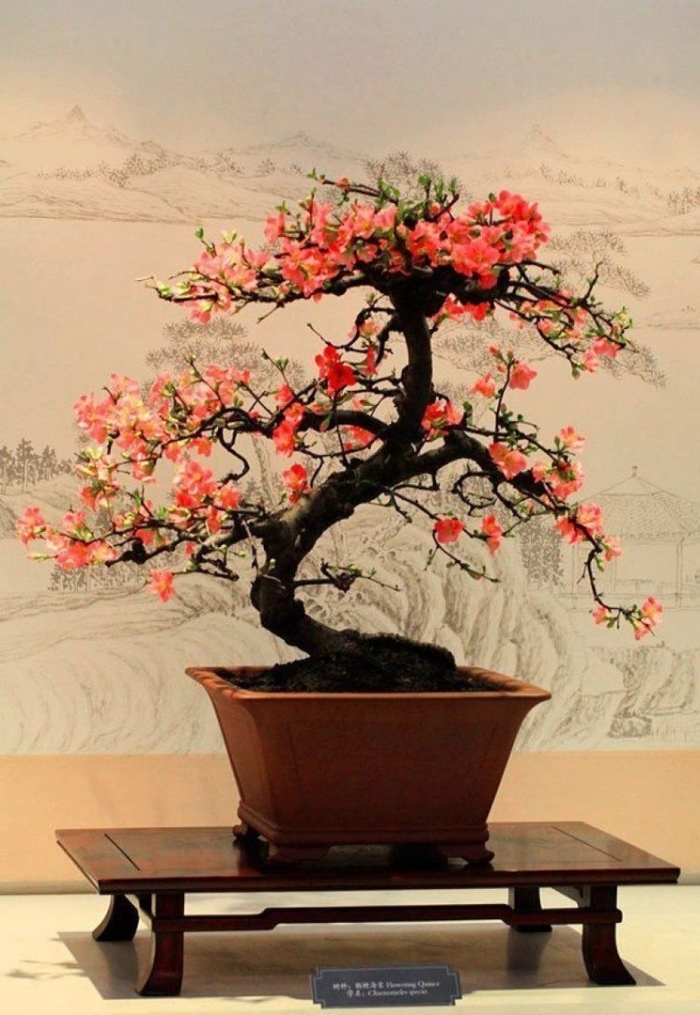 Икебана стиль бонсай