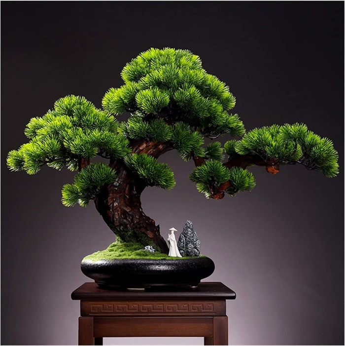 Бонсай тюхин