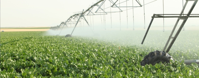 Sprinkler irrigation
