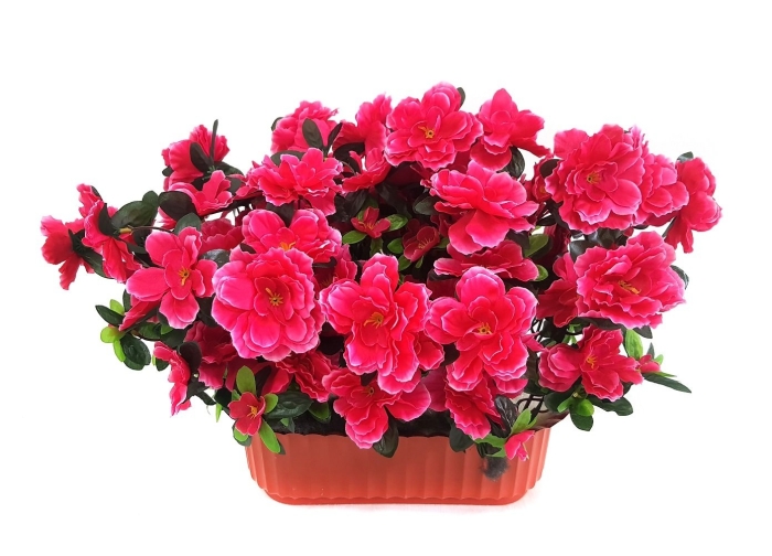 Азалия искусственные цветы