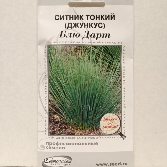 Ситник блю дарт