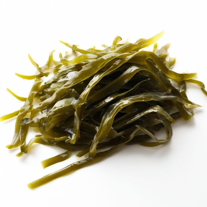 Морская водоросль