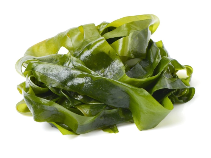 Морская капуста ламинария