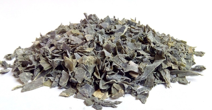 Сушеная морская капуста ламинария