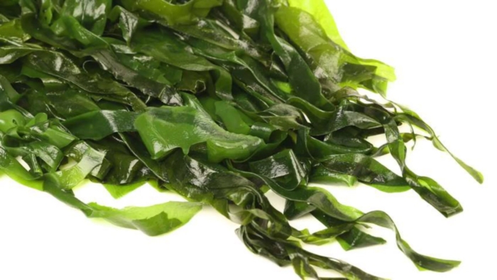 Вакаме водоросли