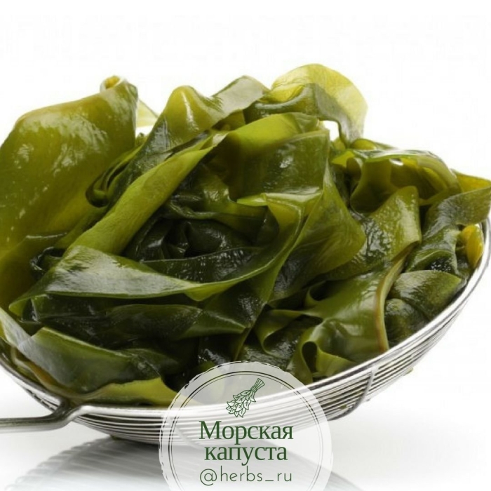 Морская капуста польза