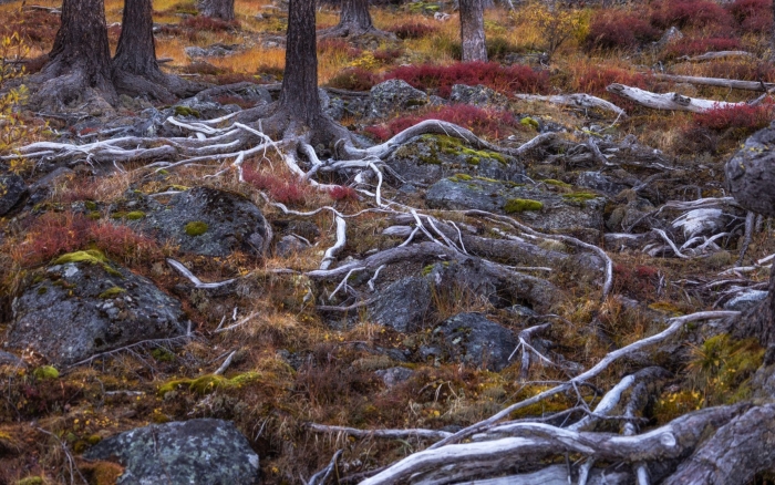 Гора воттоваара карелия