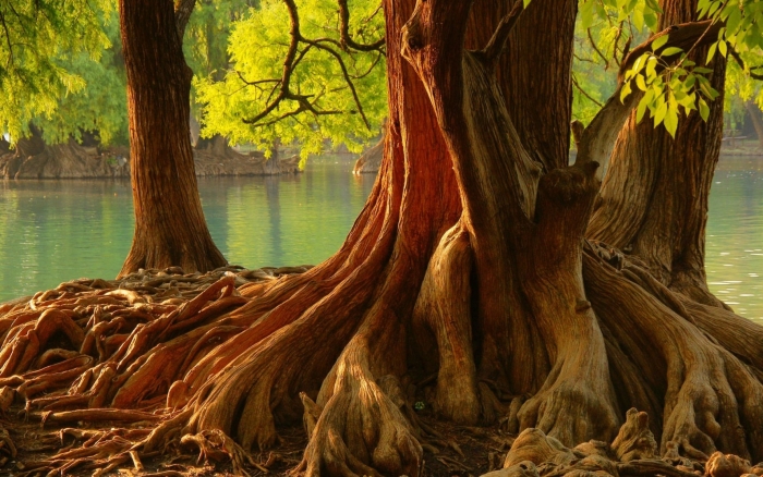 Озеро камекуаро мексика