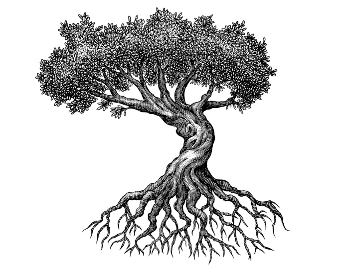 Рисунок дерева с корнями