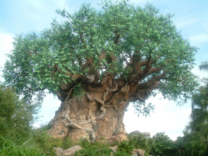 Disney s animal kingdom