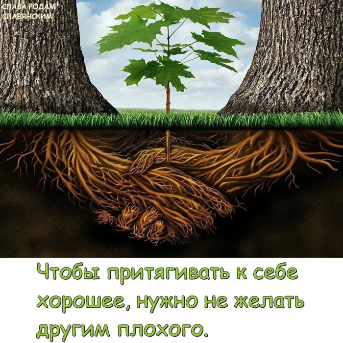 Дерево возрождения