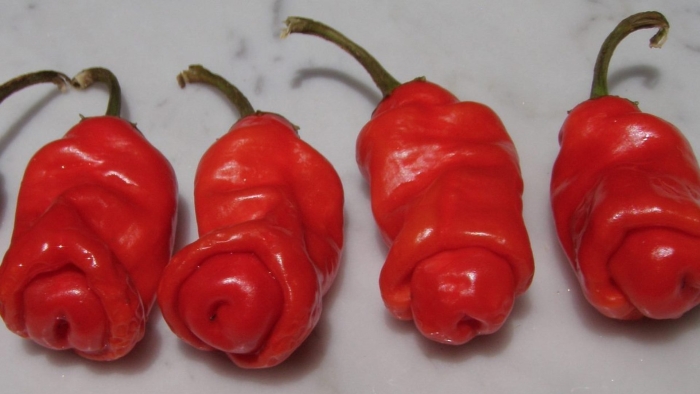 Перец питер пеппер