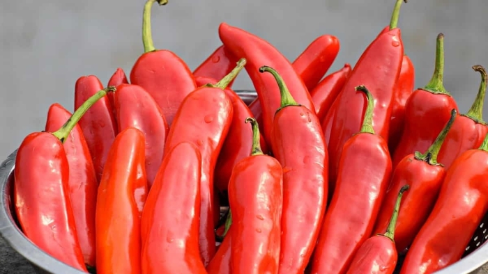 Перец чили красный