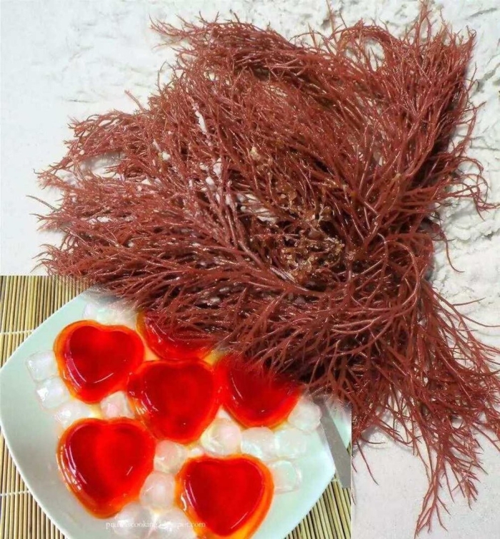 Красные водоросли агар-агар
