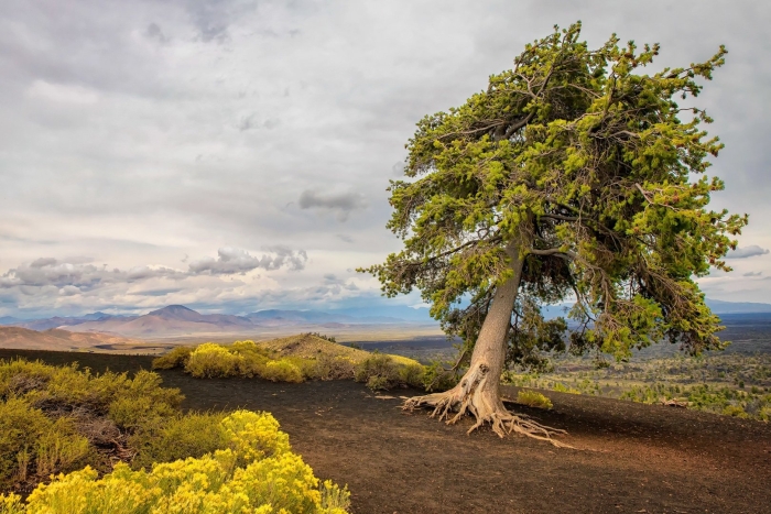 Craters of the moon national monument and preserve