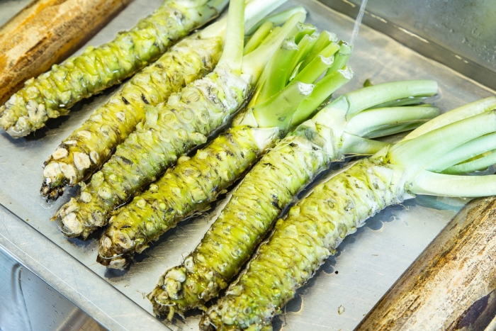 Растение васаби