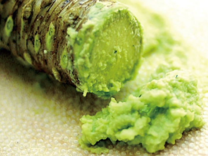 Горчица васаби