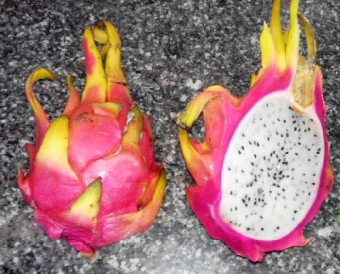 Драконий фрукт