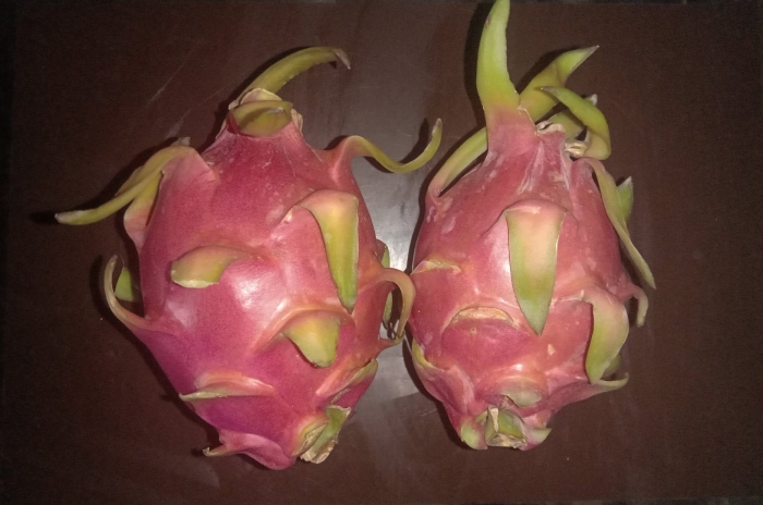 Питайя фрукт сердце дракона