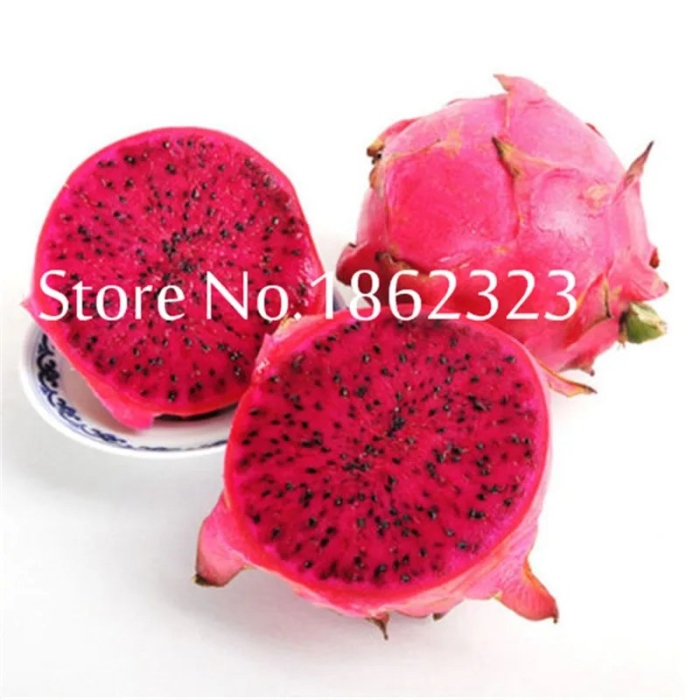 Красная питайя фрукт