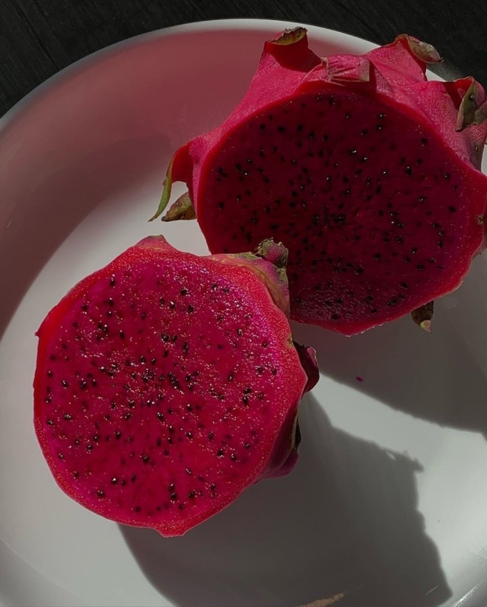 Питахайя красная растение