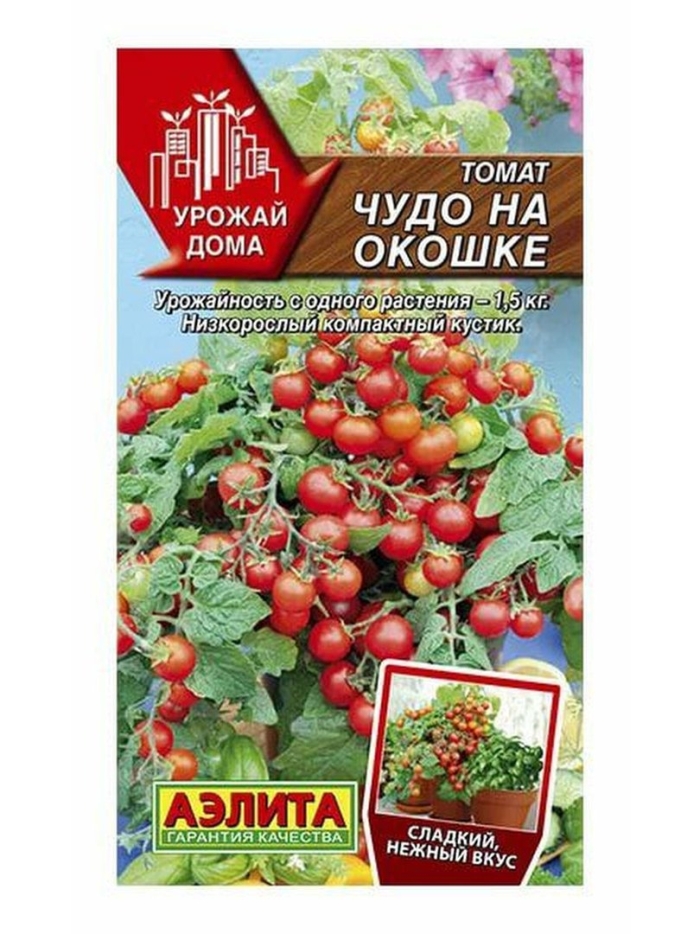 Томат чудо на окошке аэлита