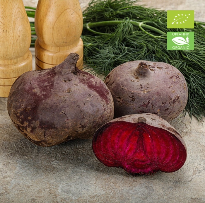 Свекла обыкновенная