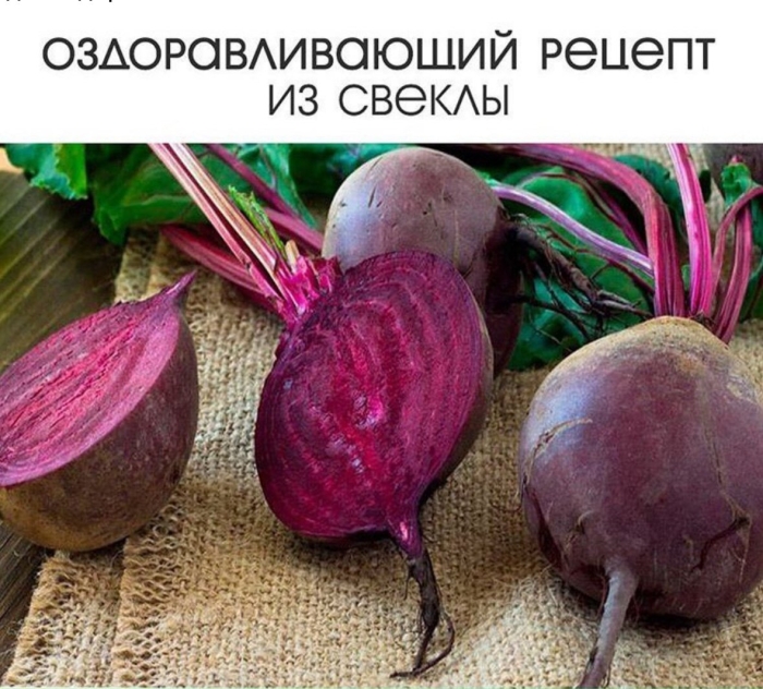 Свекла альбина веродуна