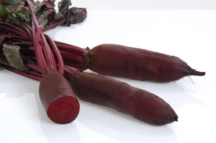 Свекла родена