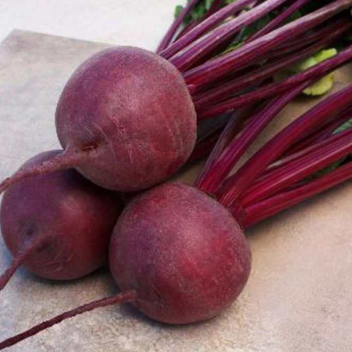 Свекла столовая кестрел f1