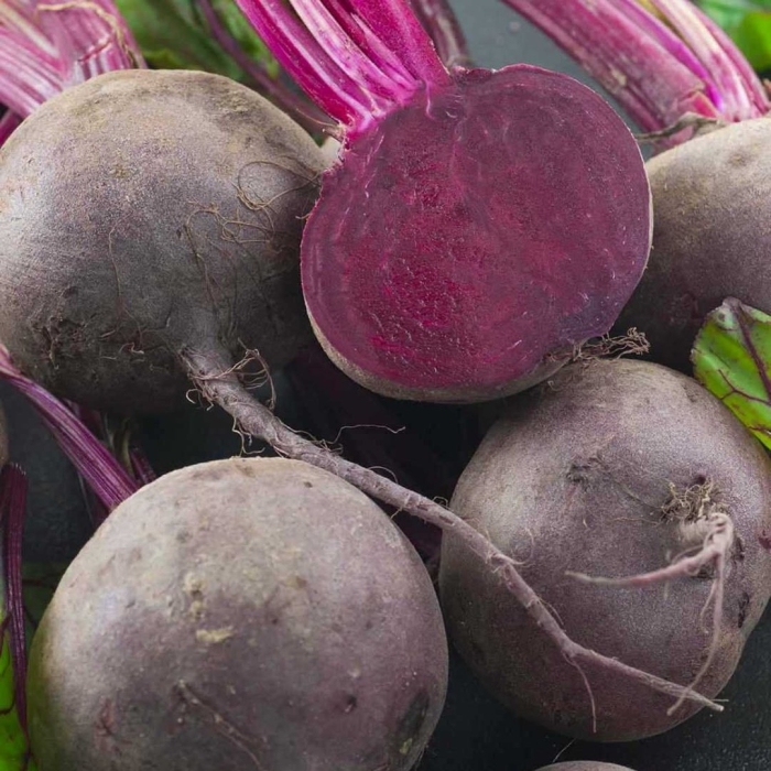 Свекла нобол