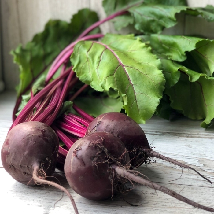 Свекла сорта