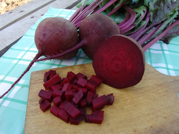 Семена свекла бордо 237