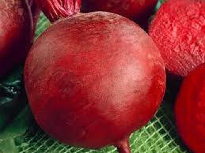 Свекла крымская борщевая