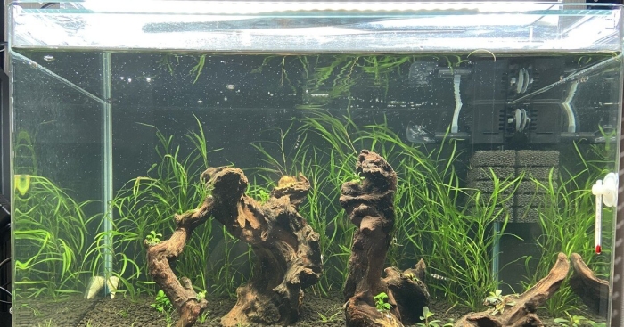 Запуск аквариума