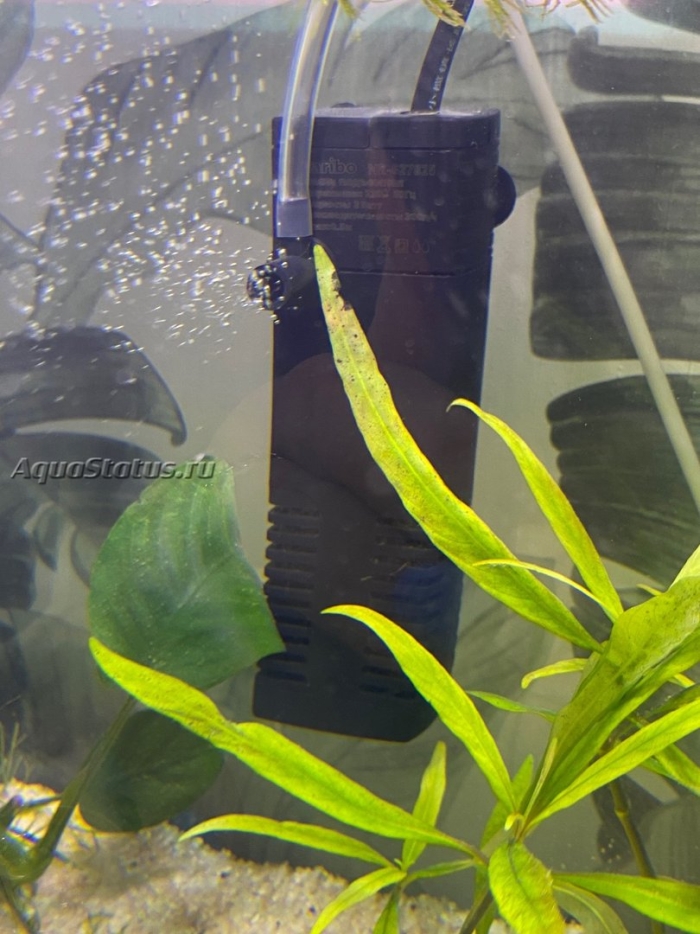 Фильтр для аквариума