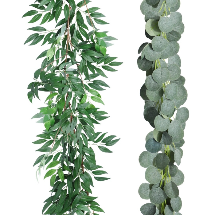 Лиана эвкалипт