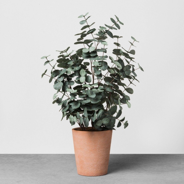 Эвкалипт гунни блю айс