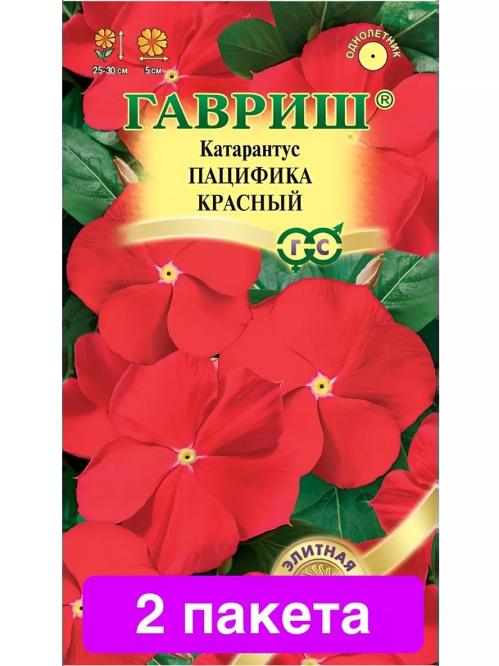 Катарантус пацифика красный