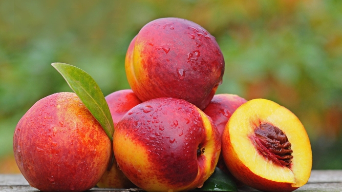 Нектарин сорт лола