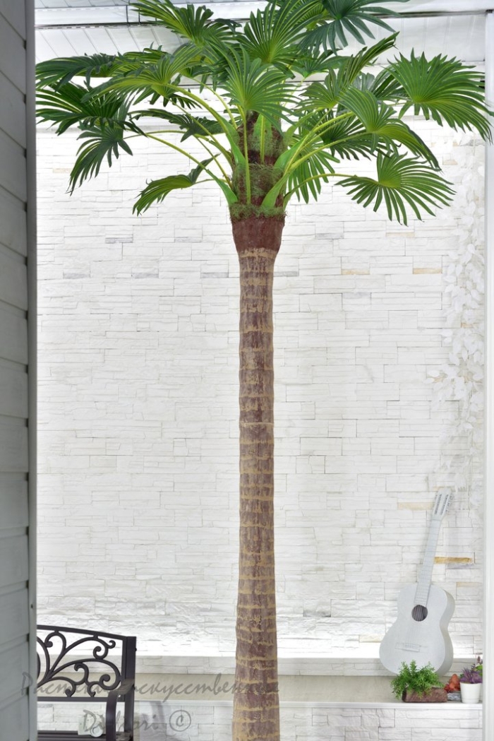 Сильвия ди пальма