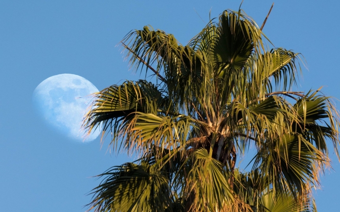 Луна на небе