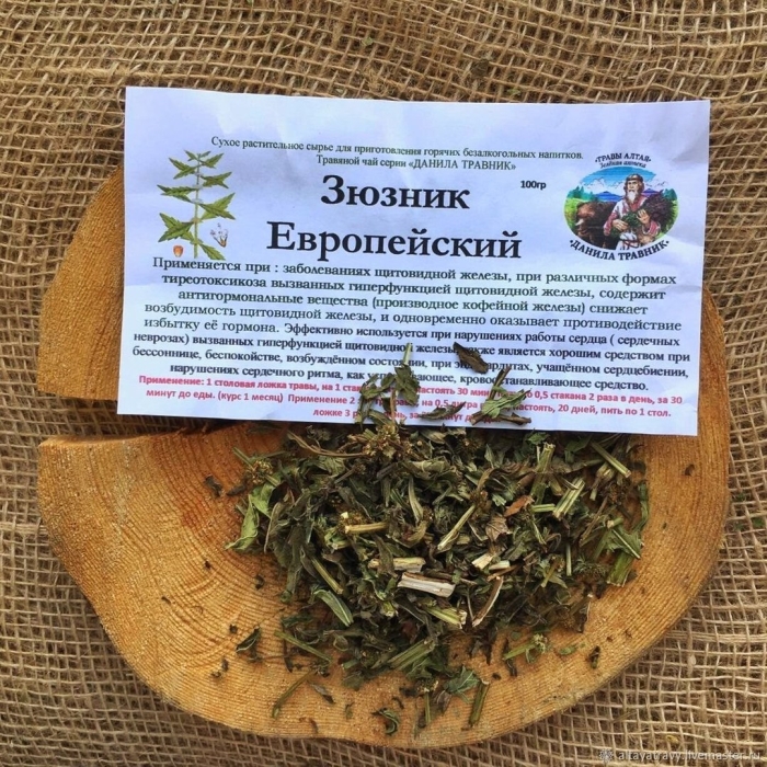 Зюзник европейский хорст