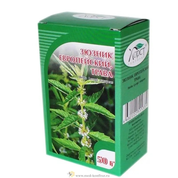 Крапива болотная зюзник европейский