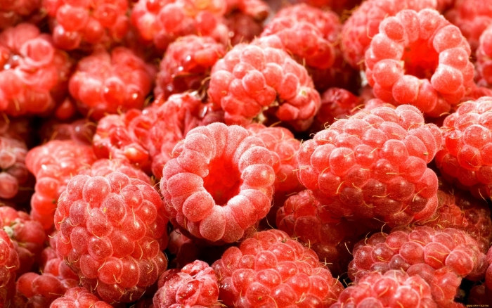 Малина макро