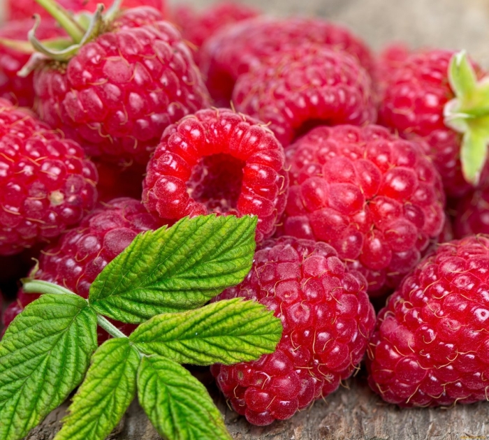 Ягода малинка