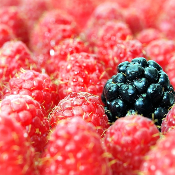 Ягоды малина ежевика