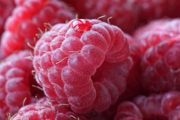 Ягода малина