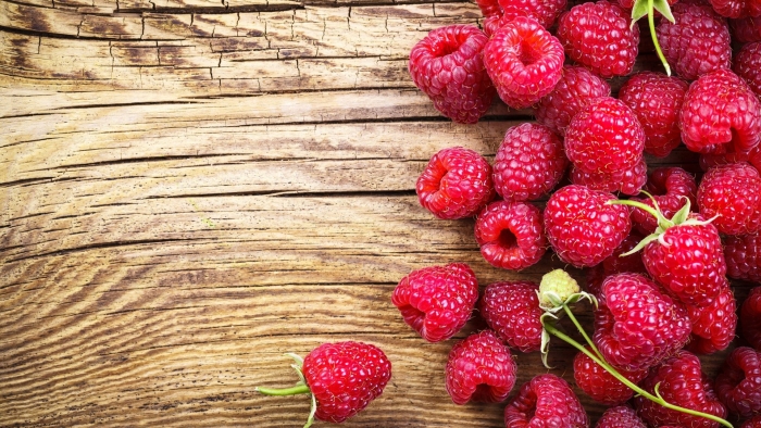 Фон с ягодами