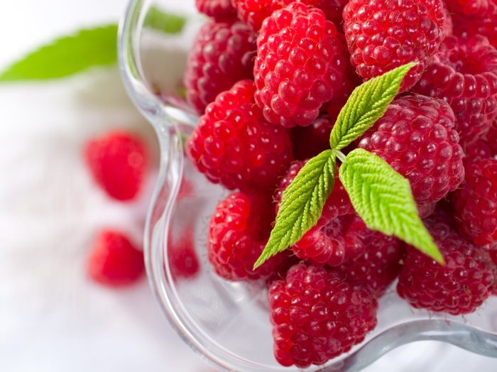 Красивые ягоды